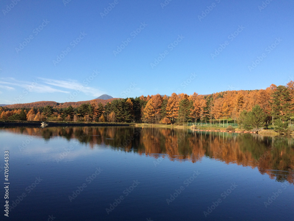 秋の槻の池