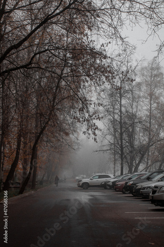 street in the fog