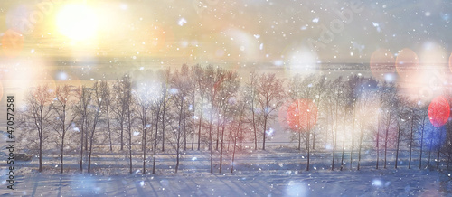 Fototapeta Naklejka Na Ścianę i Meble -  trees frost drone, abstract view background december landscape outdoor trees snow