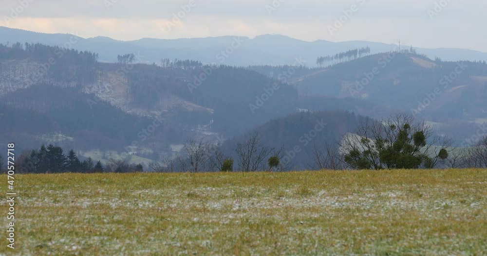 View of a field on which fresh snow is falling in slow motion.