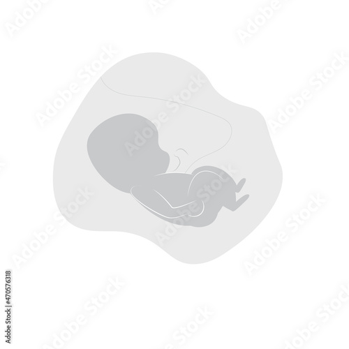 Fototapeta Naklejka Na Ścianę i Meble -  Simple illustration of ultra sound unborn baby on white background