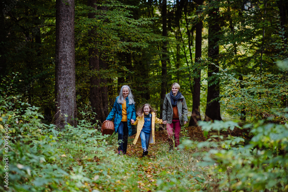 Obraz premium Small girl with mother and grandmother holding hands on walk outoors in forest.