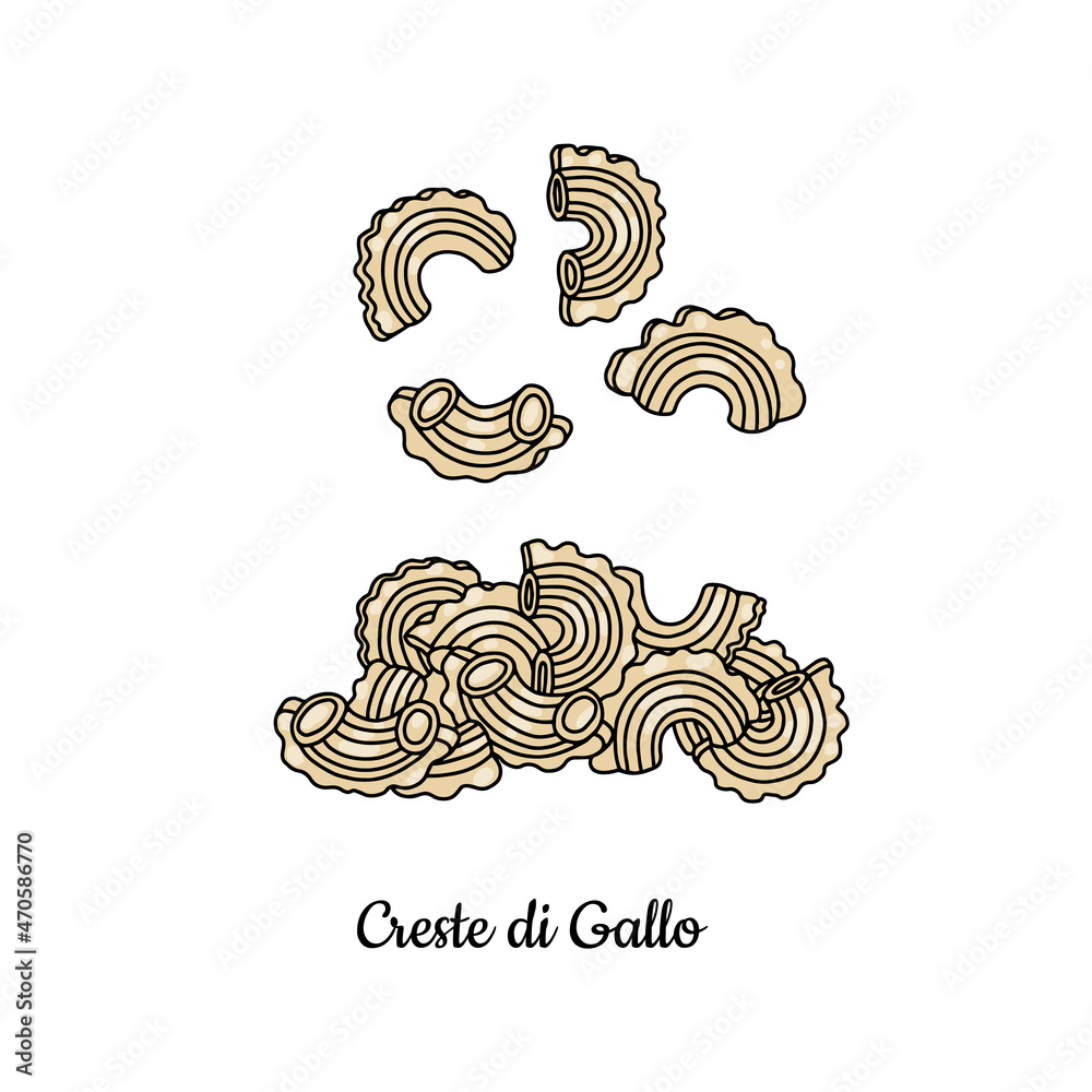 Creste di gallo pasta in color sketch vector illustration isolated on white