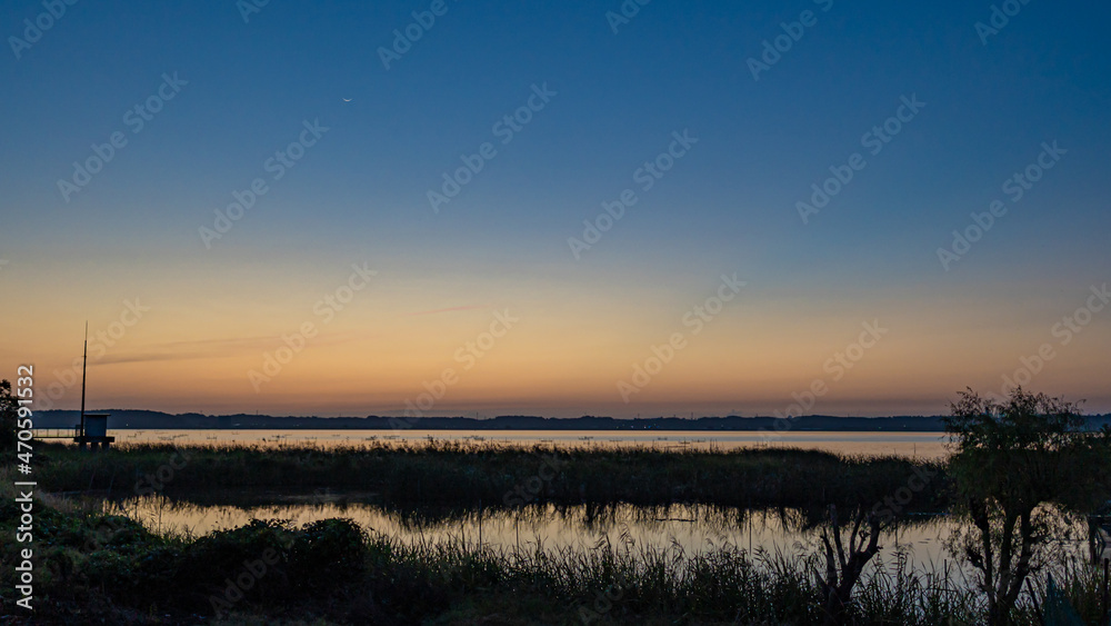 湿地帯の夜明け