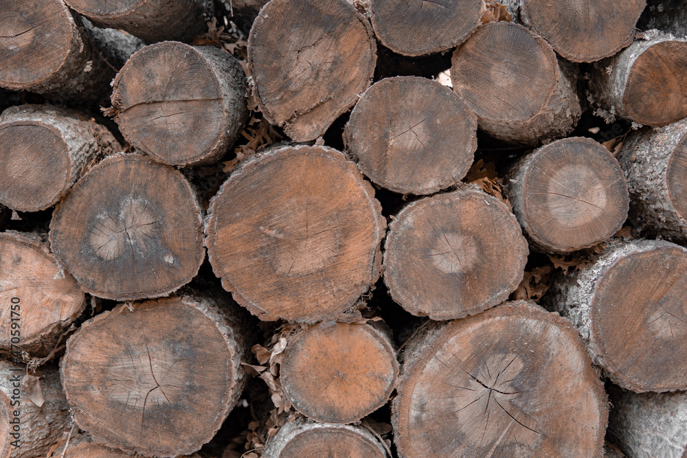 stack of firewood