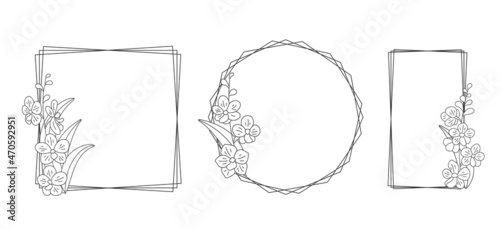Set with floral frames on a white background, linear illustration. Orchid flowers (Vascostylis) for your design of cards, greetings, invitations and the like. Vector line art illustration.
