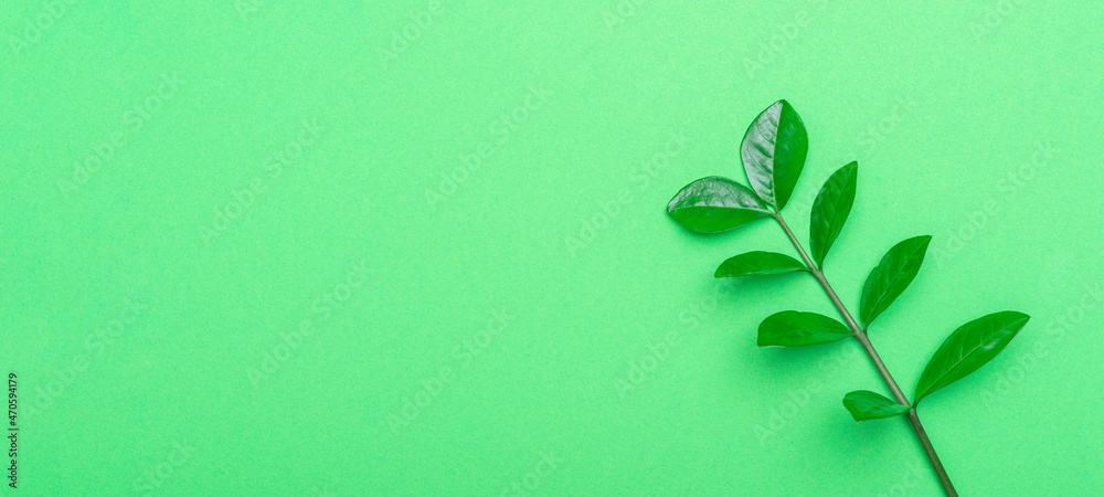 Green leaf on green background. Environmental and ecology care concept. Horizontal eco theme poster, greeting cards, headers, website and app