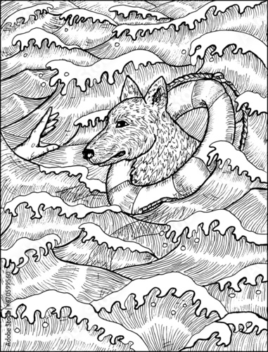 Black and white illustration of dog swimming in sea waves with life saving ring to sinking man. Vector vintage drawings, marine concept, coloring book page