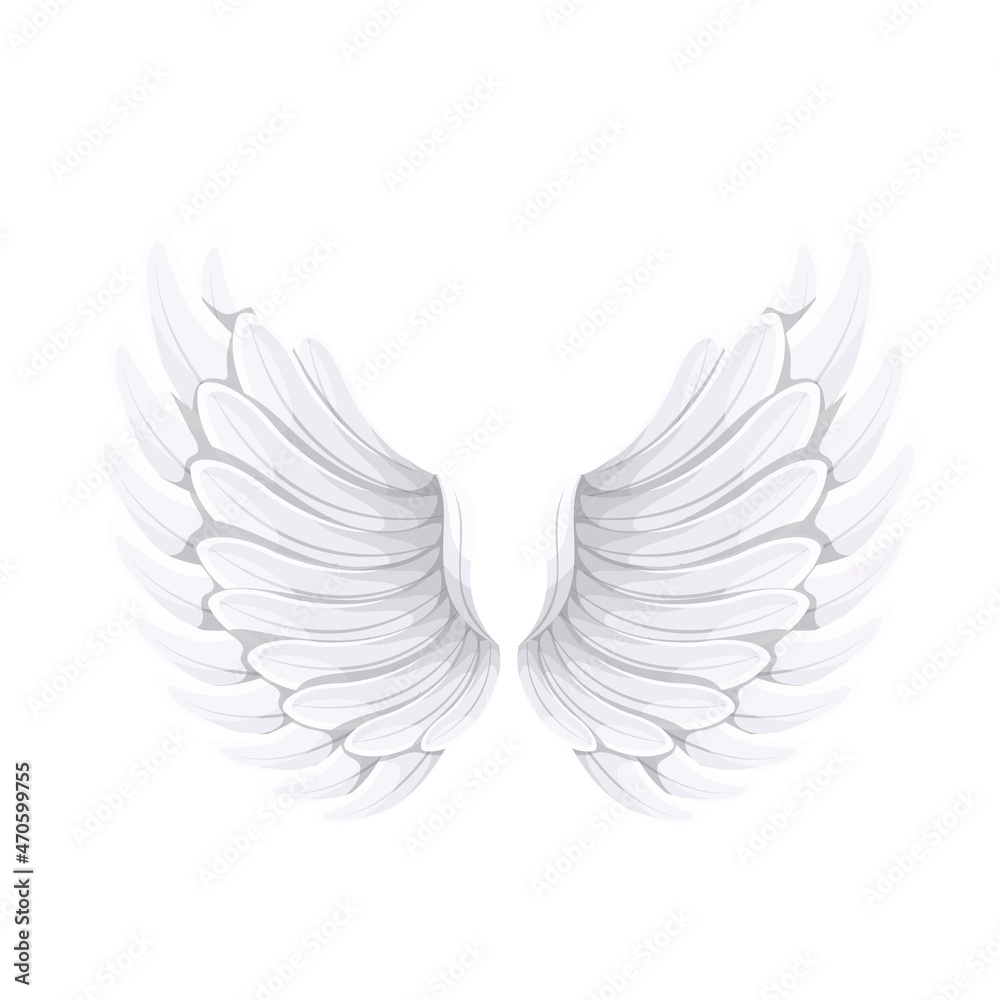 Fototapeta premium White wings of Angel or bird , vector illustration.