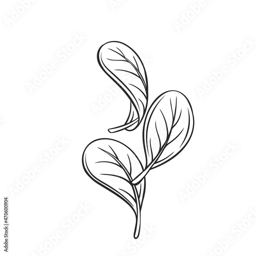 Outline spinach leaves falling concept vector illustration