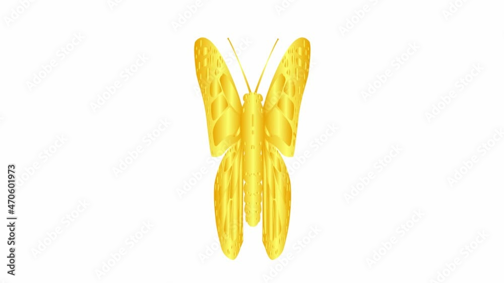 Animated gold butterfly flaps. Looped video. Flat vector illustration isolated on white background.