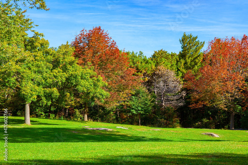  Green lawn and colorful trees
