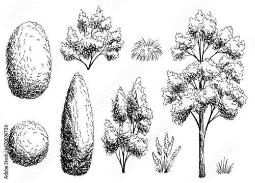 Plant set graphic garden bush black white side view isolated illustration vector 