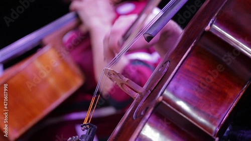 The musician plays the cello.Close-up movement of the bow on the strings.Symphony orchestra. photo