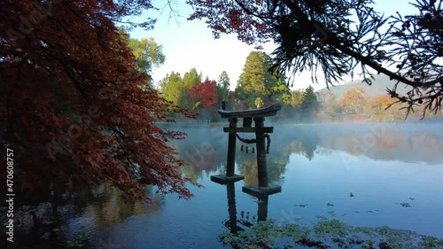 由布院　金鱗湖　早朝　朝霧　紅葉