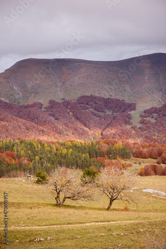 Obraz na płótnie Beautiful mountain landscape of the Abruzzo Lazio and Molise National Park in autumn w salonie