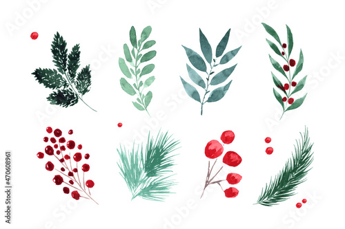 Watercolor winter botanical set. Hand painted branches leaves red berries and foliage. Isolated elements.