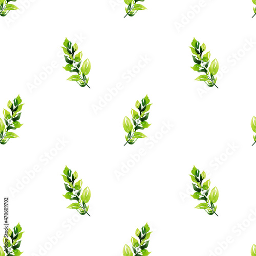 Spring herbs. watercolor seamless pattern with herbs on white background.
