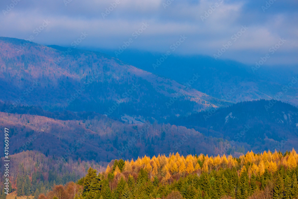 Autumn forest mountains. Beautiful colorful autumn yellow orange forest in bright sunlight.