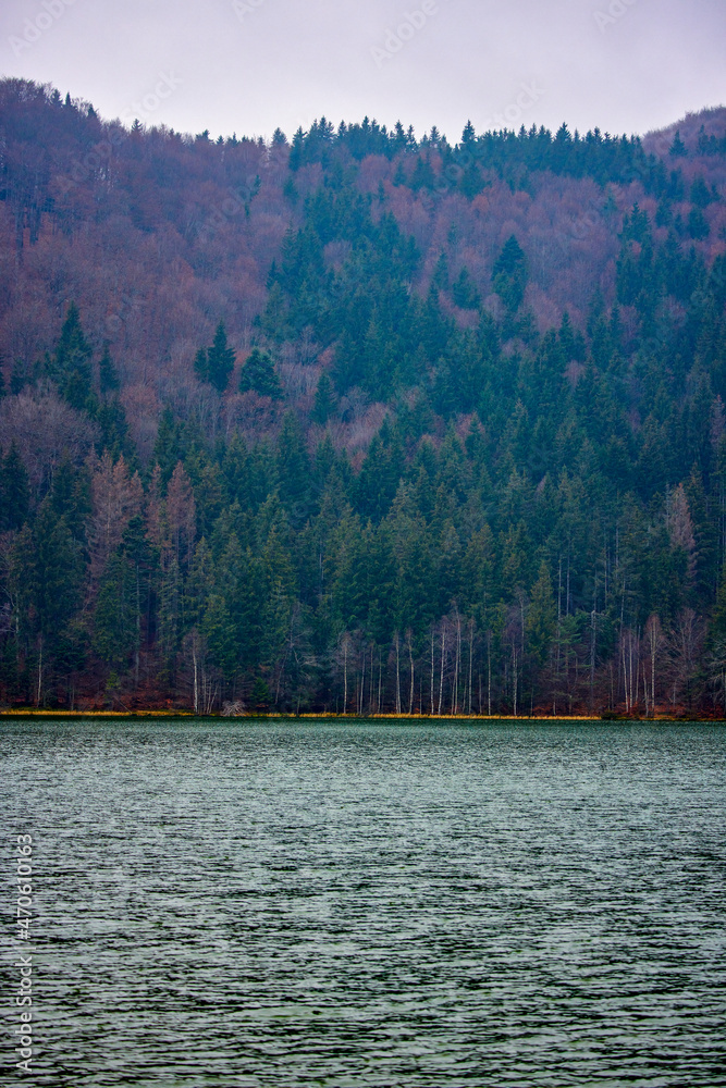 St. Ana's lake, Transylvania, Romania. Stunning autumn scenery with colorful forest and idyllic volcanic lake a popular touristic and travel destination in Europe.