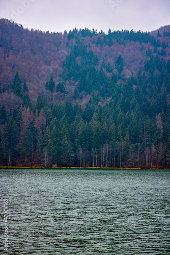 St. Ana's lake, Transylvania, Romania. Stunning autumn scenery with colorful forest and idyllic volcanic lake a popular touristic and travel destination in Europe.