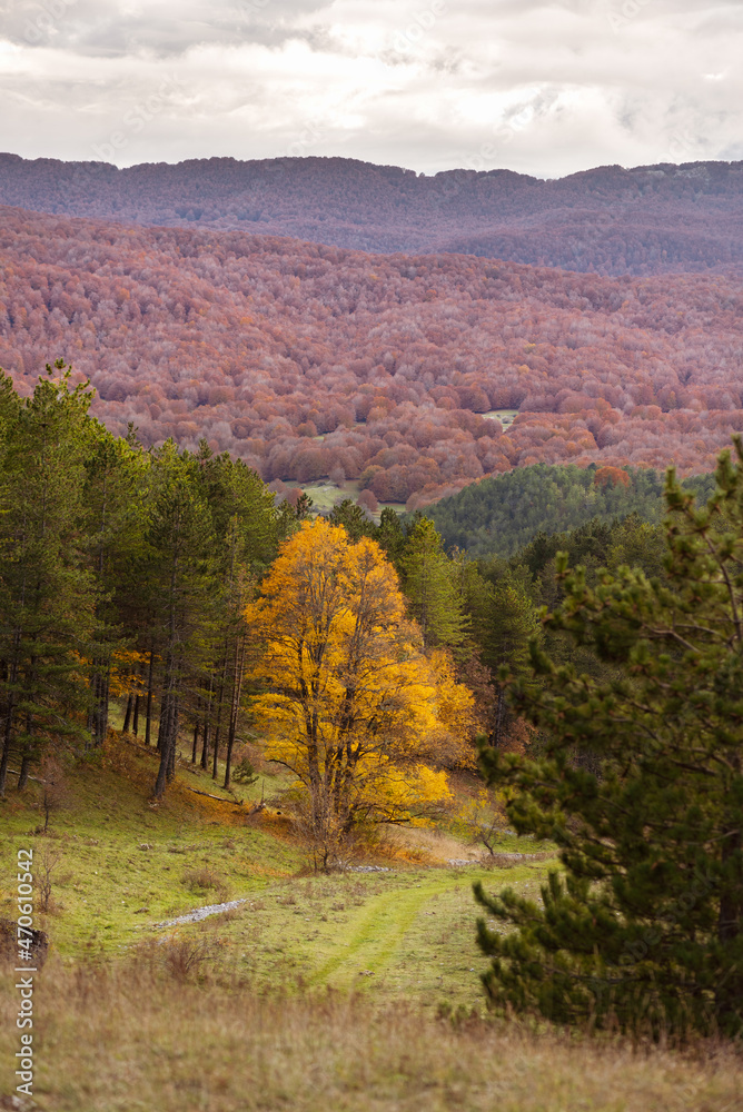 Beautiful mountain landscape of the Abruzzo Lazio and Molise National Park in autumn