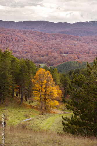 Obraz na płótnie Beautiful mountain landscape of the Abruzzo Lazio and Molise National Park in autumn w salonie