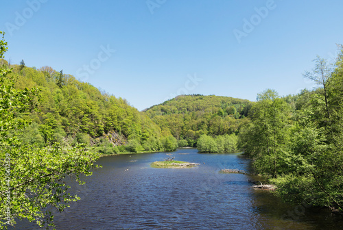 Roer river amidst green trees on sunny day, Simmerath, Eifel, North Rhine Westphalia, Germany