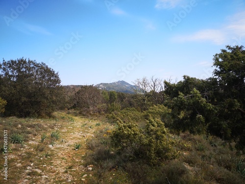 Randonnée nature au pied autour du pic saint loup, saint martin de londres, occitanie, france