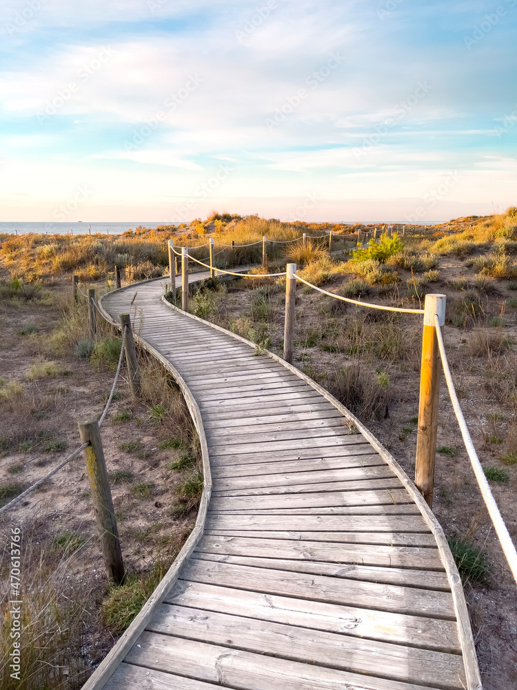 wooden path across beach dunes
