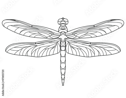 Dragonfly. Outline vector illustration for coloring book. Antistress for adults and children.  Elements for print, card, posters