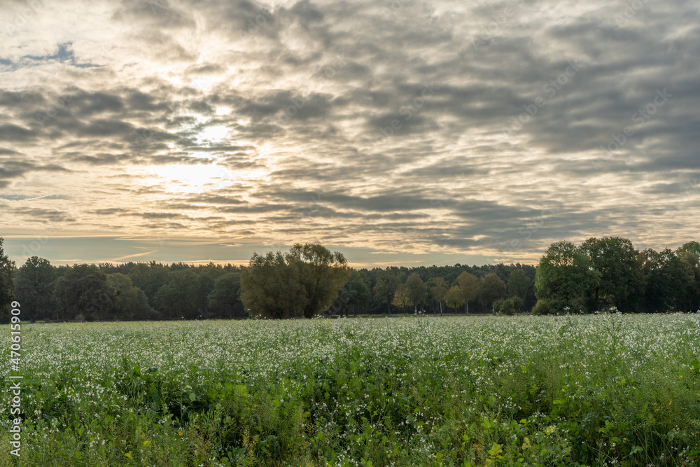 Herbstlicher Sonnenuntergang