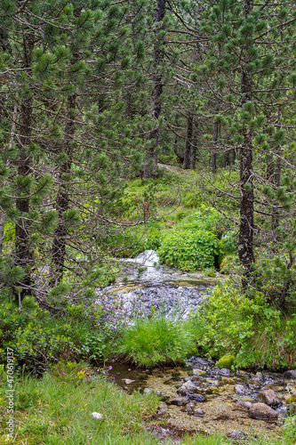 A hiking route through the Catalan Pyrenees