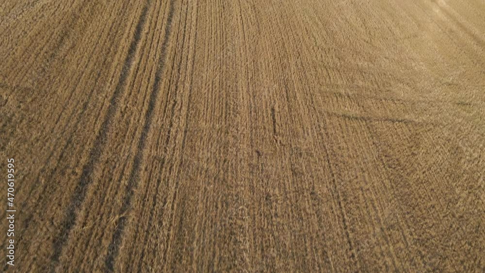 Drone Shot Panning Up Over Rural Fields Drone Shot Panning Up Over Rural Fields