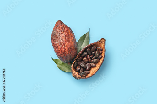 Bitter cocoa beans in pod