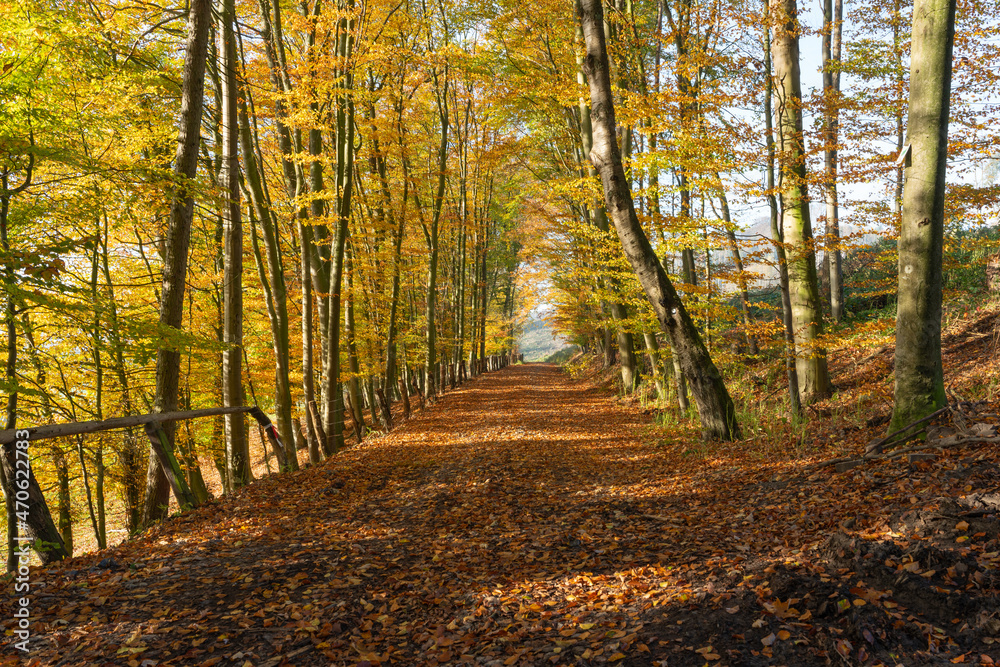 Obraz premium Herbst Wetter