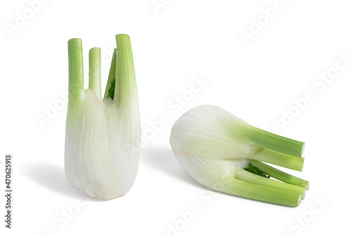 Fresh fennel isolated from the background