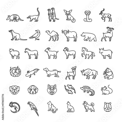 Animal icons. vector outline icon set. Zoo