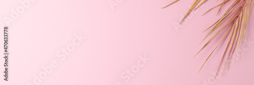 Tropical natural background with palm leaf on pink. Flat lay, copy space