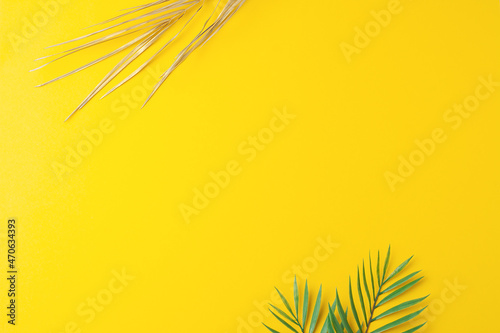 Tropical natural background with palm leaf on yellow. Flat lay, copy space