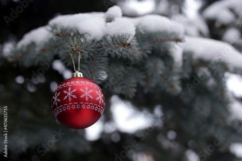 Christmas decoration (red Christmas ball with painted snowflakes) on a blue spruce branch covered with snow. New Year. Christmas. Holiday