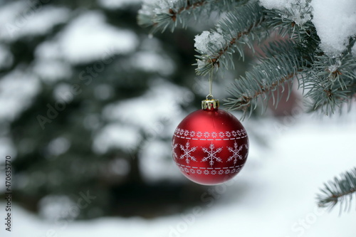 Christmas decoration (red Christmas ball with painted snowflakes) on a blue spruce branch covered with snow. New Year. Christmas. Holiday