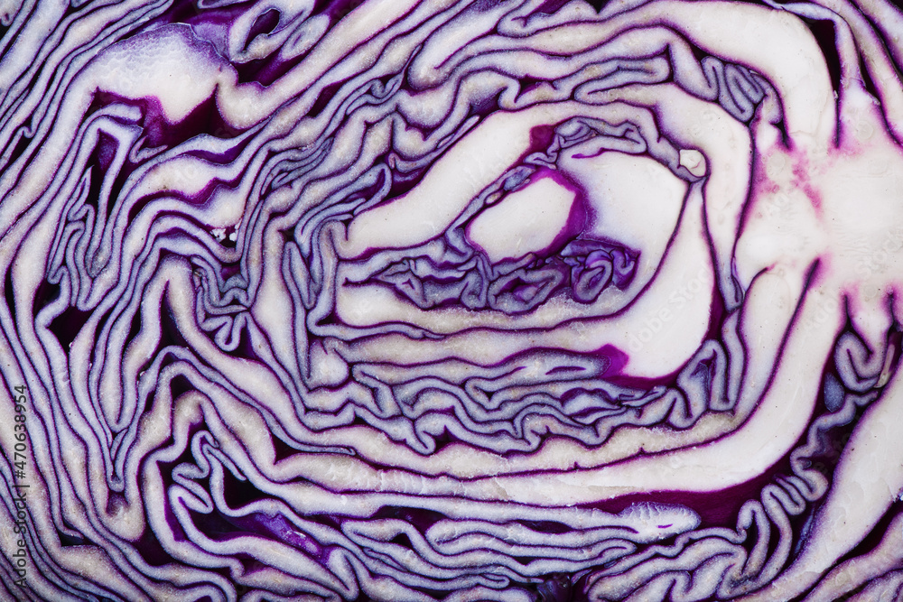 Obraz premium Sliced red cabbage