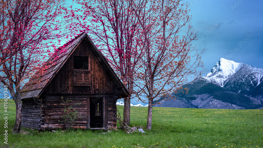 An abandoned shack among a couple of trees on a green meadow under high mountains. An abandoned shack among a couple of trees on a green meadow under high mountains.