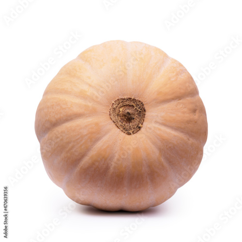 Long ripe pumpkin