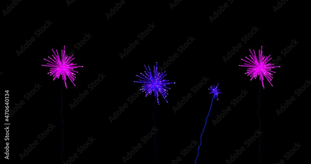 Animation of pink and purple christmas and new year fireworks exploding in night sky Animation of pink and purple christmas and new year fireworks exploding in night sky
