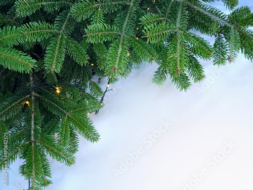 Branches of a Christmas tree in the snow.