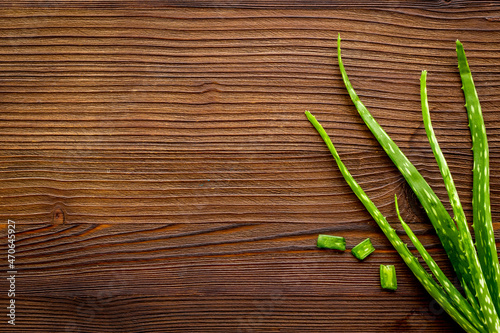 Fototapeta Naklejka Na Ścianę i Meble -  Aloe vera green leaves for medical herbal cosmetic