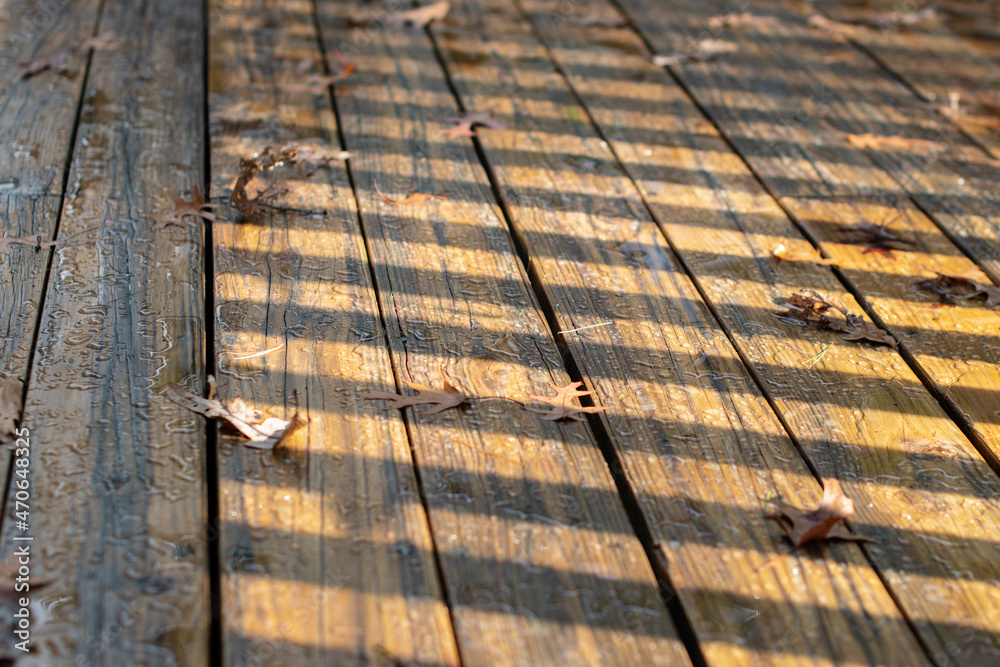 Sunlight hitting a wooden deck finished with wood stain with water and fall leafs, natural light