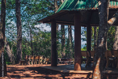Nature coniferous mix deciduous forest park open view background. Gazebo gable green roof canopy, stone benches. Rain protect. Summer sun day trees shadow sky. Travel peace lifestyle leisure backyard photo